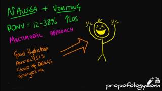 Antiemetics in 5 Minutes Pharmacology [upl. by Aro]