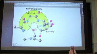 12 Kevin Aherns Biochemistry  Enzyme Mechanisms [upl. by Lavicrep]