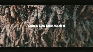 Canon M50 Mark ii Cinematic Video Test [upl. by Enyawal]