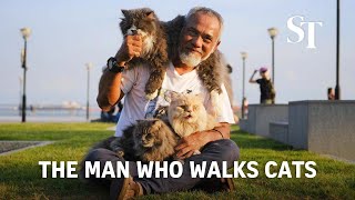 The man who walks cats in East Coast Park [upl. by Nosyk48]