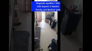 1 BHK flat for rent in Hinjewadi Pune trending viral pune [upl. by Dearden883]