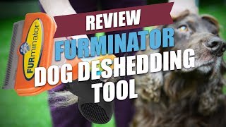 FURminator Dog Deshedding Tool Review 2018 [upl. by Liw]