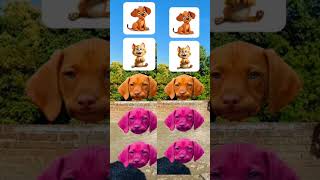 dog head to  monkey cats dog funny vfx magical video 😜 shortsfeed youtubeshorts17 skits [upl. by Naillil891]