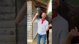 Erkennt ihr alle aus dem Video 🤠🐴 horse pferd pferde pferdecamp shorts equestrian [upl. by Eural]