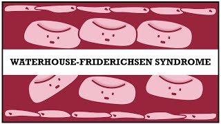 WaterhouseFriderichsen syndrome [upl. by Christean446]