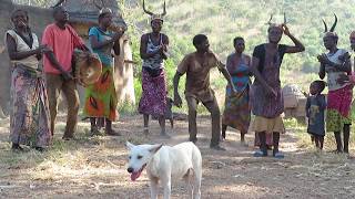 Tamberma the Batammariba of Togo [upl. by Peder]