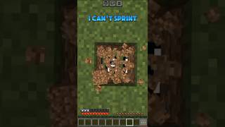 Minecraft but i cant sprint👀shortsgamingminecraft [upl. by Chandos473]