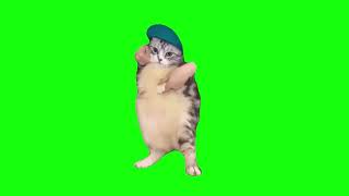 Cat Dances to Girlfriend  Green Screen [upl. by Mosa]