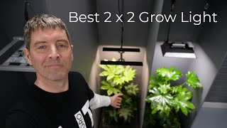 The best grow light for a 2 x 2 or 60cm x 60cm grow tent [upl. by Lura]