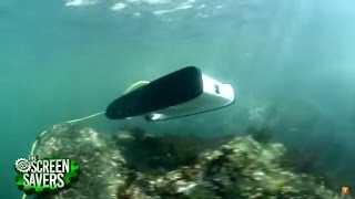 OpenSource Underwater Drone [upl. by Sianna502]