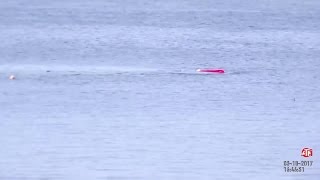 RAW Kayaker Survives Shark Attack In Monterey [upl. by Maroj974]