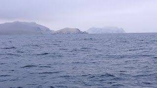 ISLA SAN LORENZO ISLAS PALOMINO CALLAO  PERU [upl. by Atlee]