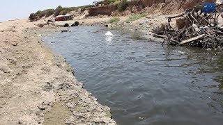 Dar Bouazza pourquoi la plage Oued Merzeg est impropre à la baignade [upl. by Johen105]