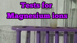 Tests for magnesium ions [upl. by Debee]