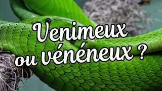 VENIMEUX OU VÉNÉNEUX [upl. by Eenyaj]