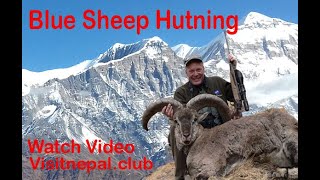 Hunting Blue Sheep in Nepal Dhorpatan Hunting Reserve 2020 Amazing Hunting video visitnepal2020 [upl. by Annid]