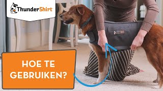 ThunderShirt voor honden  Hoe trek je het vest aan [upl. by Chaille]