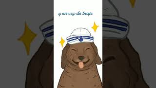 Perro salchicha gordo bachicha❤ humor [upl. by Paolo964]