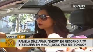 Pamela Díaz vuelve a Mega en medio de polémicas [upl. by Janicki946]