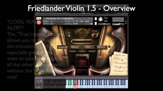 Friedlander Violin 15  Overview Video [upl. by Pell]