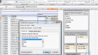 Tablas dinámicas sobre un diario de contabilidad [upl. by Alyak]