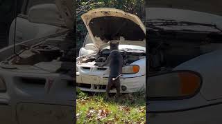 DOG CHANGES THE OIL ON A CAR dog funny [upl. by Liane]