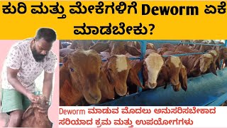 ಕುರಿ ಮತ್ತು ಮೇಕೆಗಳಿಗೆ ಜಂತುನಾಶಕ ಕೊಡುವ ಸರಿಯಾದ ವಿಧಾನ  ಕೆಂಗುರಿ farming in kannada sheep farming [upl. by Arria]