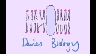 82 Tumour Suppressor Genes [upl. by Reid]