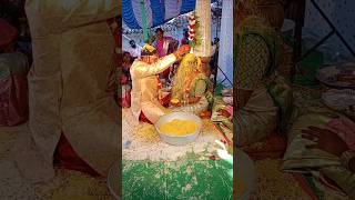 AKHILA weds MADHU viralvideo maaoorigammathulu marriage [upl. by Nedle]