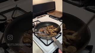 MultiMushroom Pasta with Herbs de Provence food mushroom mushroomrecipe cooking recipe [upl. by Anuat860]