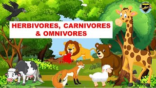 Herbivores  Carnivores  Omnivores  Types of Animals [upl. by Aihsirt240]