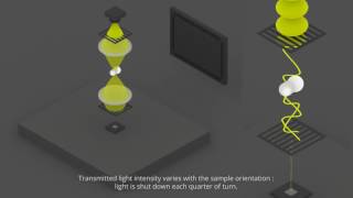 polarizing microscope [upl. by Ellon137]