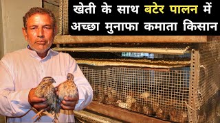 खेती के साथ 17 सालो से बटेर पालन करता किसान  Quail Farming  Bater Farming In India [upl. by Fenton]