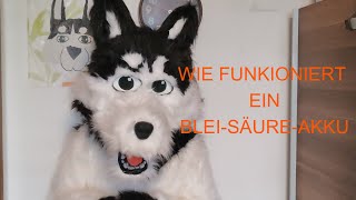 Wie funktioniert ein BleiSäureAkku [upl. by Chee337]