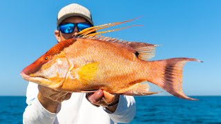 Floridas Best Tasting Fish Hogfish amp Snapper Offshore Bottom Fishing [upl. by Edelstein]