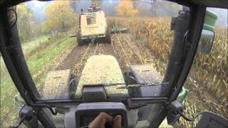 Fendt 820 Vario  Schlammschlacht beim Maishäckseln 2015 Kabinensicht Go Pro [upl. by Balac]