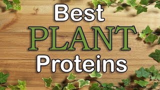 Best Plant Based Protein Powder 2018 Top 5 [upl. by Yesoj647]