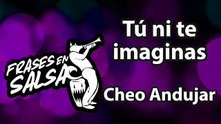 Tu ni te imaginas Letra  Cheo Andujar Frases en Salsa [upl. by Odnam842]