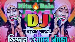 হিন্দাল ওয়ালে খাজা নিউ ভার্শন। নিতু বালা। hindal Wale khwajaNitu Bala 2024 [upl. by Anirb]