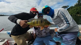 Pesca de SargentoLago Gatún Canal de Panamá [upl. by Eninej]