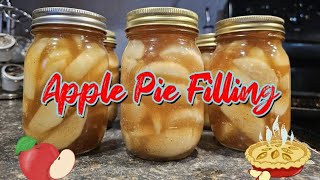 Apple Pie Filling [upl. by Aennil]