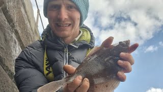 flattie fishing my local pier plenty of flounder [upl. by Gui]