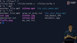 COMP2041COMP9041  Shell Globbing Filename Expansion [upl. by Cybil]