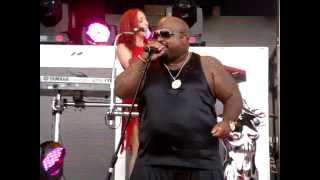 Cee Lo Green  Forget You  Live 2014 [upl. by Ailuy]