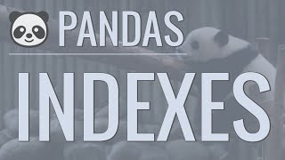 Python Pandas Tutorial Part 3 Indexes  How to Set Reset and Use Indexes [upl. by Sremmus]