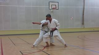 France Shotokan Paris Vaugirard  Irimi  Entrer sur ladversaire [upl. by Langbehn241]