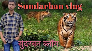 Sundarban Tour  Sundarban forest Sundarban Tourist Places  Sundarban Trip  Sundarban Vlog [upl. by Ahtel]