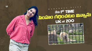 నేను 1st Time సింహం గర్జించటం విన్నాను  UK లో ZOO  UK Vlogs  Warangal Pilla  Cue Media [upl. by Ecnahc]