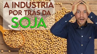 SOJA E CARNE DE SOJA FAZ BEM E UMA BOA FONTE DE PROTEINA VEGANA [upl. by Hu775]