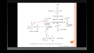 Genetic Basis of PyridoxineResponsive Neonatal Epilepsy in Consanguineous Families [upl. by Jeane138]